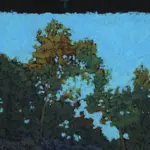 نمای کلی زیتون (Olea europaea)